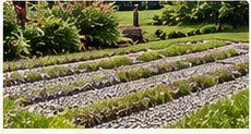 Residential drainfield